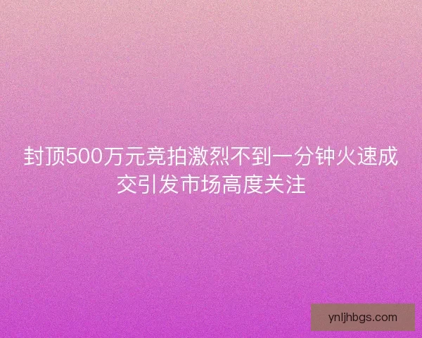 封顶500万元竞拍激烈不到一分钟火速成交引发市场高度关注